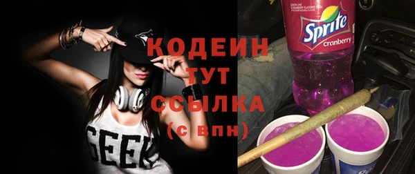 прущие грибы Пролетарск