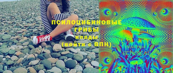 ГАЛЛЮЦИНОГЕННЫЕ ГРИБЫ Алексеевка