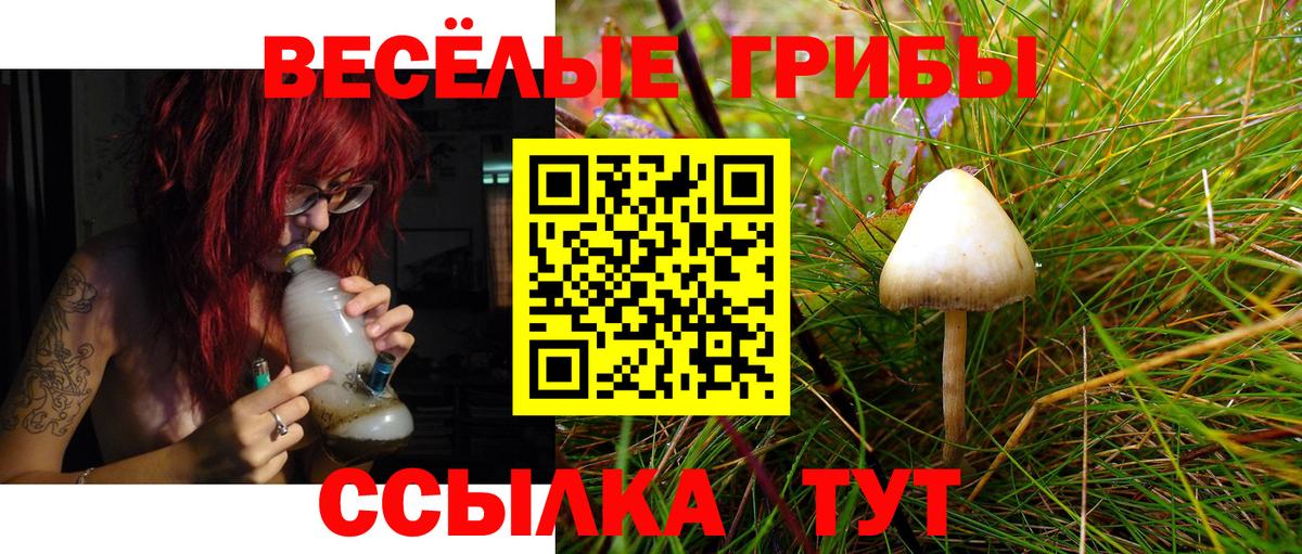 Псилоцибиновые грибы прущие грибы  Галлюциногенные грибы Magic Shrooms  Белебей  Вход с VPN 