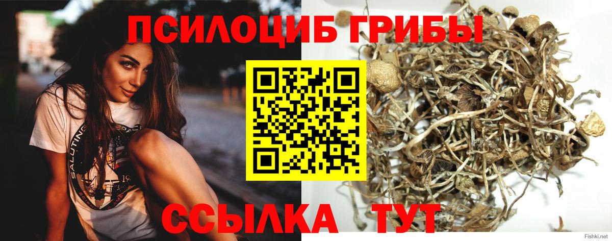 Галлюциногенные грибы мицелий Белебей